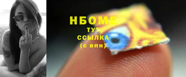 шишки Баксан