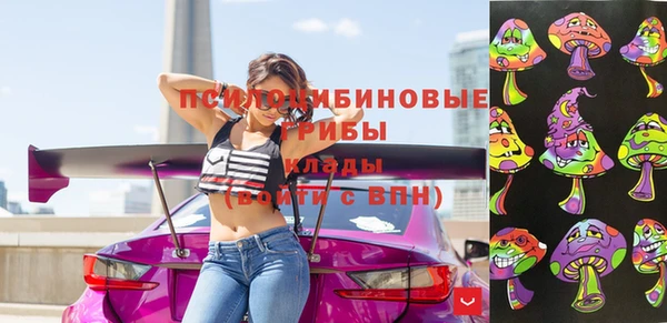шишки Баксан