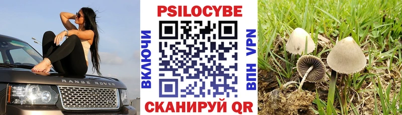 hydra маркетплейс  Майский  Псилоцибиновые грибы Magic Shrooms 